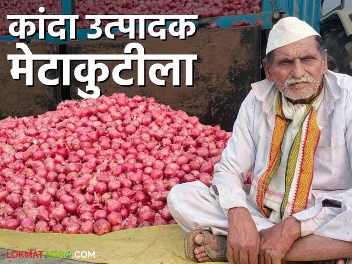 Onion producers are fed up with the slowdown in prices; onion sales do not even cover cultivation costs | दर मंदावल्याने कांदा उत्पादक मेटाकुटीला; कांदा विक्रीतून लागवड खर्चही निघेना