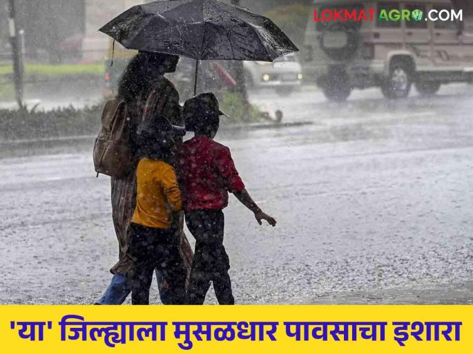 Rain Alert : Heavy rain warning in Latur district; A call for vigilance from the administration | Rain Alert : लातूर जिल्ह्यात मुसळधार पावसाचा इशारा; प्रशासनाकडून सतर्कतेचे आवाहन