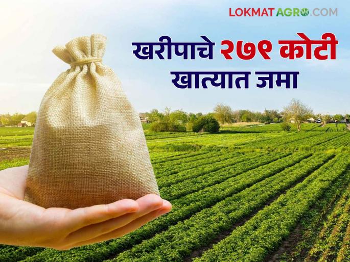 Solapur district received compensation of Rs 279 crore for the first time; 2 lakh 39 thousand farmers benefited | सोलापूर जिल्ह्याला प्रथमच मिळाली नुकसानभरपाईची २७९ कोटी रक्कम; २ लाख ३९ हजार शेतकऱ्यांना लाभ