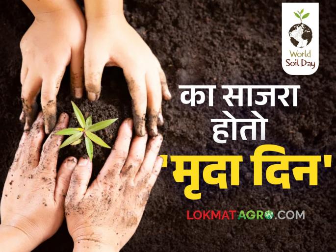World Soil Day 2024 : Do not let the soil be disturbed; only a healthy future will remain intact | World Soil Day 2024 : मातीला होऊ देऊ नका बाधित; आरोग्य संपन्न भविष्य तरच राहील अबाधित World Soil Day 2024 : Do not let the soil be disturbed; only a healthy future will remain intact | World Soil Day 2024 : मातीला होऊ देऊ नका बाधित; आरोग्य संपन्न भविष्य तरच राहील अबाधित