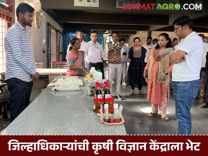District Collector Rahul Kardile visits Sagroli Agricultural Science Center | जिल्हाधिकारी राहुल कर्डीले यांची सगरोळी कृषी विज्ञान केंद्राला भेट District Collector Rahul Kardile visits Sagroli Agricultural Science Center | जिल्हाधिकारी राहुल कर्डीले यांची सगरोळी कृषी विज्ञान केंद्राला भेट