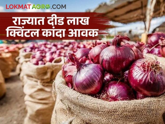 Summer from Nashik district, highest arrival of red onion in Solapur market; Read today's onion market price | नाशिक जिल्ह्यातून उन्हाळ तर सोलापूर बाजारात लाल कांद्याची सर्वाधिक आवक; वाचा आजचे कांदा बाजारभाव