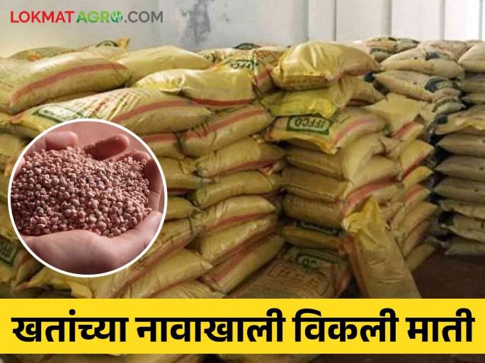 3400 bags of soil sold under the name of fertilizers; 'This' company applied lime of 50 lakhs to the farmers | Fertilizers Scam: खतांच्या नावाखाली विकली ३४०० बॅग माती; 'या' कंपनीने शेतकऱ्यांना लावला ५० लाखांचा चुना 3400 bags of soil sold under the name of fertilizers; 'This' company applied lime of 50 lakhs to the farmers | Fertilizers Scam: खतांच्या नावाखाली विकली ३४०० बॅग माती; 'या' कंपनीने शेतकऱ्यांना लावला ५० लाखांचा चुना