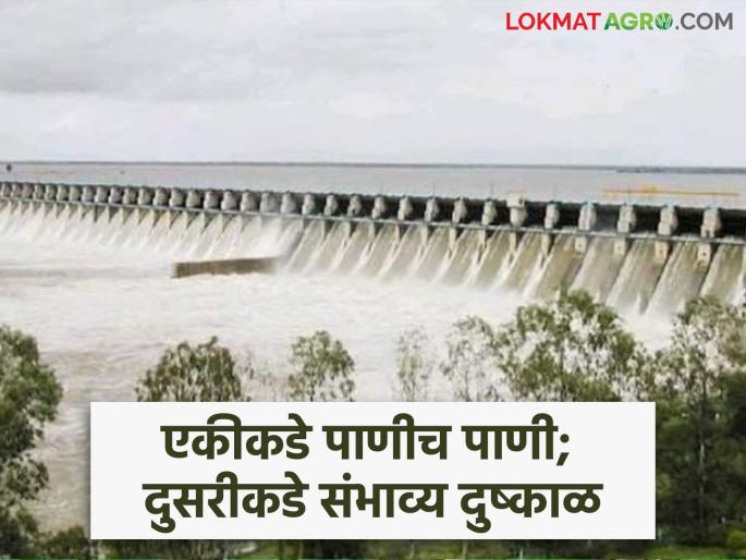 'This' dam in the state was filled in early July; Marathwada-Vidarbha, however, are also awaiting heavy rains | जुलैच्या सुरुवातीलाच भरली राज्यातील 'ही' धरणे; मराठवाडा-विदर्भ मात्र अध्यापही दमदार पावसाच्या प्रतीक्षेत