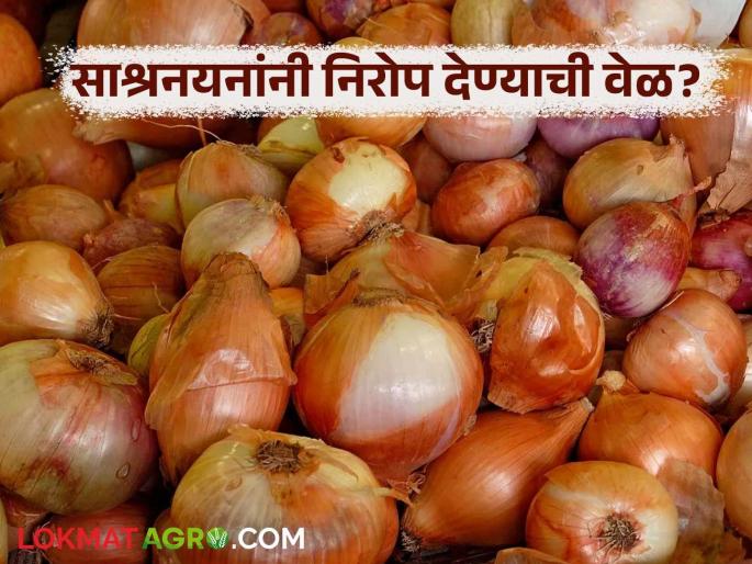 Why is it time for onion farmers in the state to bid farewell to onions with a bang? Read in detail | राज्यातील कांदा उत्पादक शेतकऱ्यांवर का आली आहे कांद्याला साश्रनयनांनी निरोप देण्याची वेळ; वाचा सविस्तर