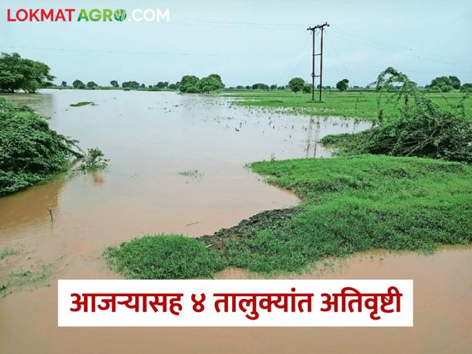 Heavy rain in Kolhapur district; Heavy rainfall in these 4 talukas including Ajar | कोल्हापूर जिल्ह्यात धुवांधार पाऊस; आजऱ्यासह 'या' ४ तालुक्यांत अतिवृष्टी