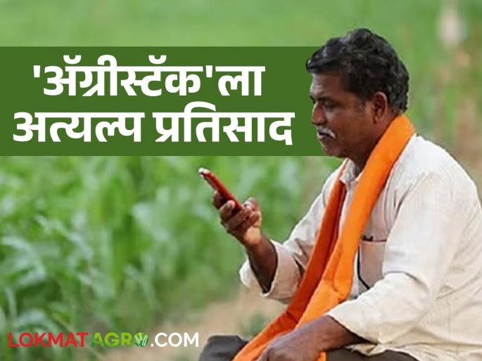 Where is the state leading and where is it lagging behind? Read the status of 'Farmer ID' in the state | राज्यात कुठे आघाडी तर कुठे पिछाडी; वाचा 'फार्मर आयडी'ची राज्यात काय आहे स्थिती Where is the state leading and where is it lagging behind? Read the status of 'Farmer ID' in the state | राज्यात कुठे आघाडी तर कुठे पिछाडी; वाचा 'फार्मर आयडी'ची राज्यात काय आहे स्थिती