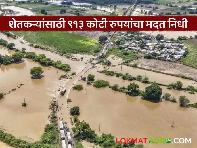 These three districts will get Rs 913 crore fund; Heavy rain relief | 'या' तीन जिल्ह्यांना मिळणार ९१३ कोटी रुपयांचा निधी; अतिवृष्टी मदत These three districts will get Rs 913 crore fund; Heavy rain relief | 'या' तीन जिल्ह्यांना मिळणार ९१३ कोटी रुपयांचा निधी; अतिवृष्टी मदत