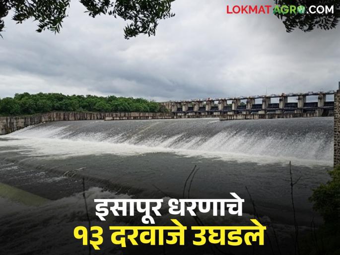 13 gates of Isapur Dam opened; Large release of water into Painganga River | इसापूर धरणाचे १३ दरवाजे उघडले; पैनगंगा नदीत होतोय पाण्याचा मोठा विसर्ग
