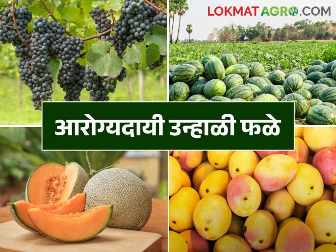 Summer is here farmers sister and brother take care of your health | आला उन्हाळा शेतकरी ताई अन् दादांनो आपआपले आरोग्य सांभाळा Summer is here farmers sister and brother take care of your health | आला उन्हाळा शेतकरी ताई अन् दादांनो आपआपले आरोग्य सांभाळा