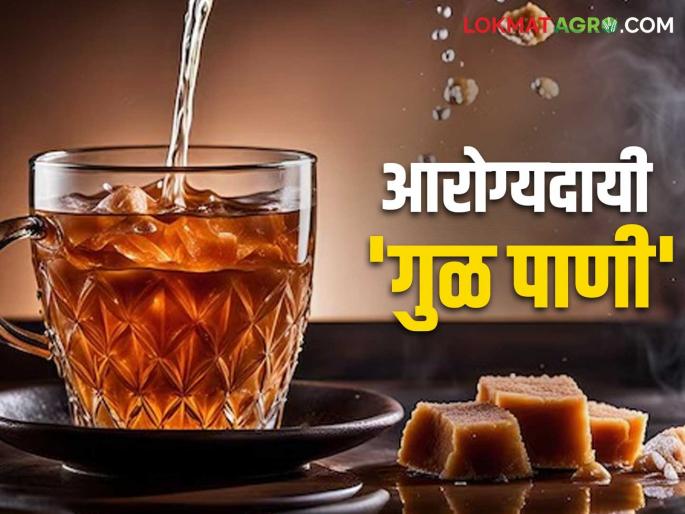 Healthy Jaggery Water: A panacea for various health problems; Jaggery water provides a special support | Healthy Jaggery Water : आरोग्याच्या विविध समस्यांना रामबाण उपाय; गुळाचे पाणी देई हमखास आधार