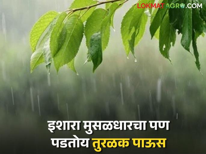 Only light rain is falling in this district of the state where the Meteorological Department has warned of heavy rains. | हवामान विभागाने मुसळधार पावसाचा इशारा दिलेल्या राज्याच्या 'या' जिल्ह्यात पडतोय केवळ तुरळक पाऊस