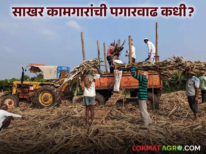 Sugar workers expect salary hike; Tripartite committee meetings fruitless | साखर कामगारांना पगारवाढीची अपेक्षा; त्रिपक्षीय समितीच्या बैठका निष्फळ Sugar workers expect salary hike; Tripartite committee meetings fruitless | साखर कामगारांना पगारवाढीची अपेक्षा; त्रिपक्षीय समितीच्या बैठका निष्फळ