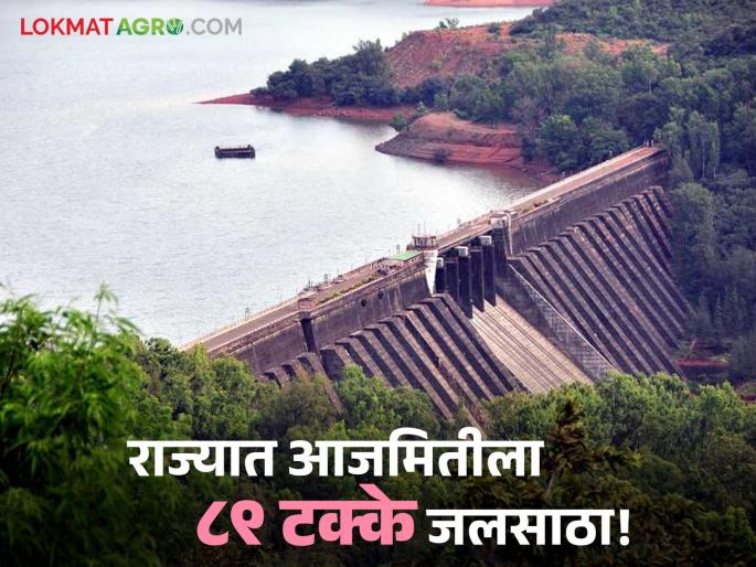 3 lakh 18,859 cusecs released from 35 dams in the state; almost all dams collapsed | राज्यातील ३५ धरणांमधून ३ लाख १८,८५९ क्युसेकचा विसर्ग; जवळपास सर्वच धरणे तुडुंब 3 lakh 18,859 cusecs released from 35 dams in the state; almost all dams collapsed | राज्यातील ३५ धरणांमधून ३ लाख १८,८५९ क्युसेकचा विसर्ग; जवळपास सर्वच धरणे तुडुंब