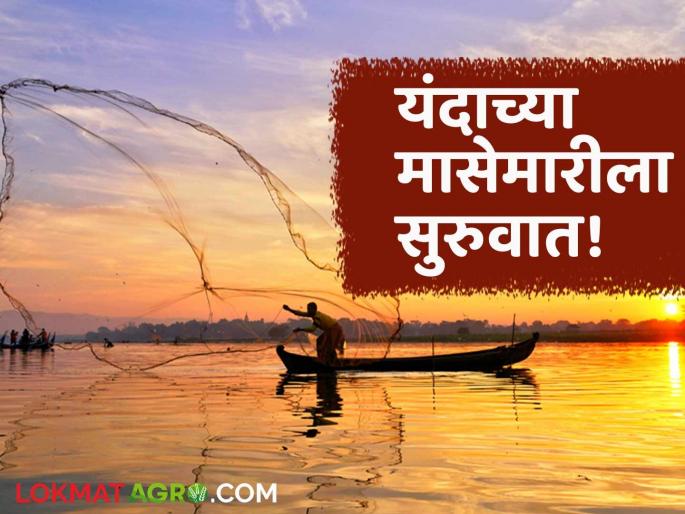 This year's fishing season begins from the full moon of Narali; Boats set sail for the sea | नारळी पौर्णिमेपासून यंदाच्या मासेमारीला सुरुवात; नौका समुद्रामध्ये रवाना