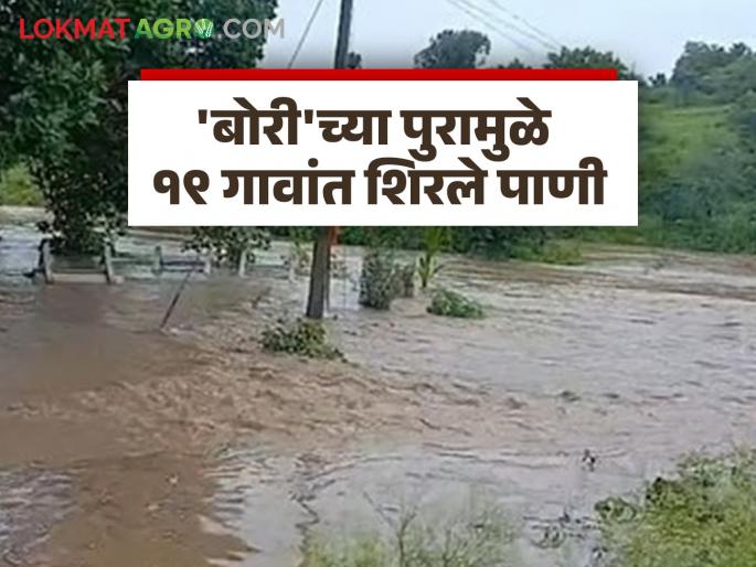 Flooding of the 'Bori' river causes havoc in 19 villages; Animals are washed away, fields are flooded, houses collapse | 'बोरी' नदीच्या पुरामुळे १९ गावांमध्ये हाहाकार; जनावरे वाहून गेली तर शेतात पाणी, घरांची पडझड Flooding of the 'Bori' river causes havoc in 19 villages; Animals are washed away, fields are flooded, houses collapse | 'बोरी' नदीच्या पुरामुळे १९ गावांमध्ये हाहाकार; जनावरे वाहून गेली तर शेतात पाणी, घरांची पडझड