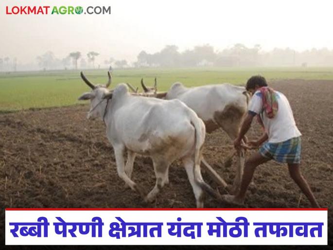 There is a gap of four lakh hectares in the state's rabi sowing area this year; the pace of sowing is slower than expected | राज्याच्या रब्बी पेरणी क्षेत्रात यंदा तब्बल चार लाख हेक्टरची तफावत; पेरणीचा वेग अपेक्षेपेक्षा मंदावलेला There is a gap of four lakh hectares in the state's rabi sowing area this year; the pace of sowing is slower than expected | राज्याच्या रब्बी पेरणी क्षेत्रात यंदा तब्बल चार लाख हेक्टरची तफावत; पेरणीचा वेग अपेक्षेपेक्षा मंदावलेला