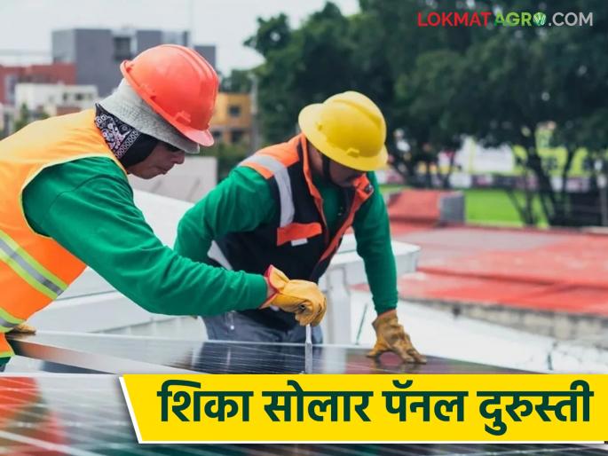 Young farmers are getting free training to learn solar panel repair; Opportunity to set up an industry | शेतकरी तरुणांनो सोलार पॅनल दुरुस्ती शिका मिळतंय मोफत प्रशिक्षण; उद्योग उभारण्याची संधी Young farmers are getting free training to learn solar panel repair; Opportunity to set up an industry | शेतकरी तरुणांनो सोलार पॅनल दुरुस्ती शिका मिळतंय मोफत प्रशिक्षण; उद्योग उभारण्याची संधी