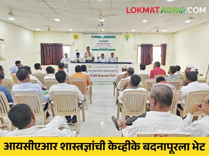 Indian Agricultural Research Council scientists visit KVK Badnapur | भारतीय कृषी अनुसंधान परिषदेच्या शास्त्रज्ञांची केव्हीके बदनापूरला भेट Indian Agricultural Research Council scientists visit KVK Badnapur | भारतीय कृषी अनुसंधान परिषदेच्या शास्त्रज्ञांची केव्हीके बदनापूरला भेट