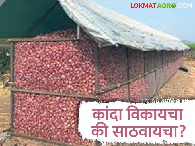 Market price not even equal to production cost; Farmers focus on storing onions | उत्पादन खर्चा एवढाही बाजारभाव मिळेना; कांदा साठवून ठेवण्यावर शेतकऱ्यांचा भर Market price not even equal to production cost; Farmers focus on storing onions | उत्पादन खर्चा एवढाही बाजारभाव मिळेना; कांदा साठवून ठेवण्यावर शेतकऱ्यांचा भर