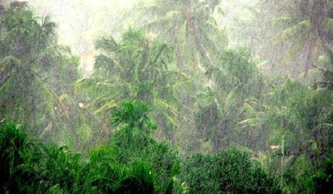 State Government finally provides Rs. 90.7 million assistance to Konkan over-flooding | कोकणातील अतिवृष्टीबाधितांना राज्य शासनाची अखेर १९ कोटी ३८ लाखांची मदत State Government finally provides Rs. 90.7 million assistance to Konkan over-flooding | कोकणातील अतिवृष्टीबाधितांना राज्य शासनाची अखेर १९ कोटी ३८ लाखांची मदत