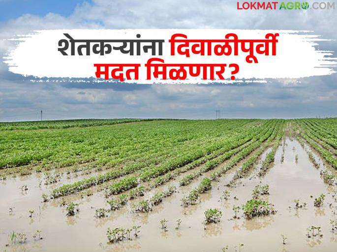 Will farmers get help before Diwali? The government will decide on help only after the heavy rainfall report is submitted to the 'Ya' department | शेतकऱ्यांना दिवाळीपूर्वी मदत मिळणार का? अतिवृष्टी अहवाल 'या' विभागाकडे दिल्यानंतरच होणार मदतीसाठीचा शासन निर्णय Will farmers get help before Diwali? The government will decide on help only after the heavy rainfall report is submitted to the 'Ya' department | शेतकऱ्यांना दिवाळीपूर्वी मदत मिळणार का? अतिवृष्टी अहवाल 'या' विभागाकडे दिल्यानंतरच होणार मदतीसाठीचा शासन निर्णय