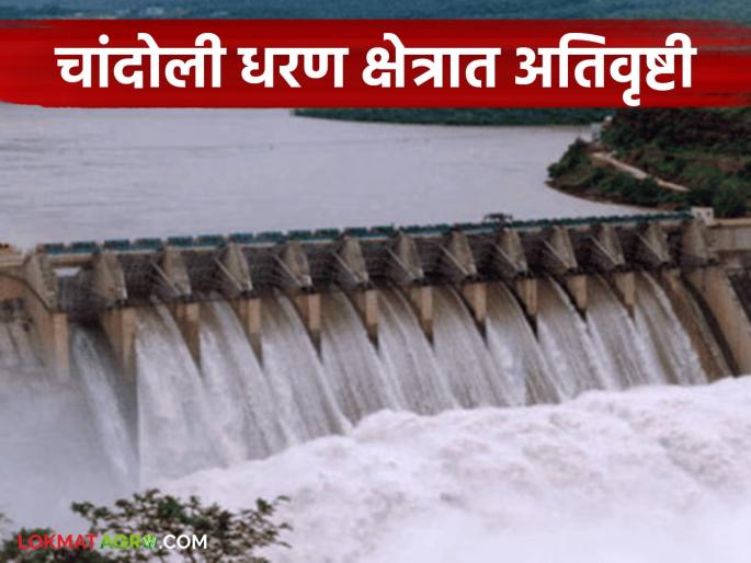 Chandoli dam filled to 87.80 percent; inflow into the dam starts at 7814 cusecs | चांदोली धरण ८७.८० टक्के भरले; धरणातील आवक ७८१४ क्युसेकने सुरू