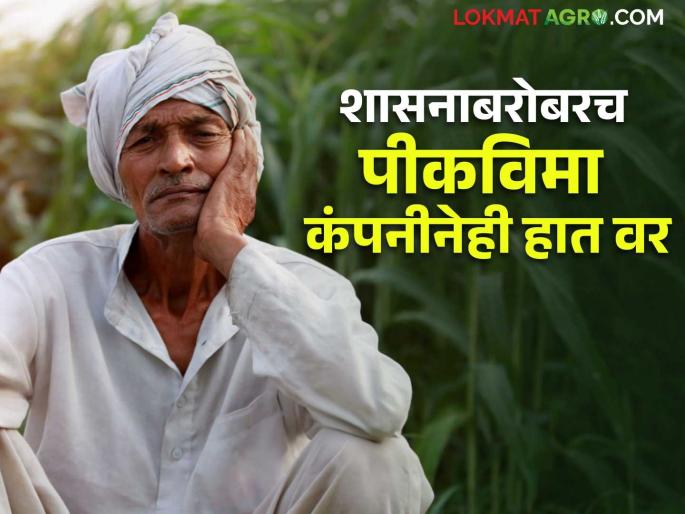 Not a single rupee has been received so far; farmers are waiting for compensation for losses in the Kharif season | अद्यापपर्यंत एक रुपयाचीही मदत मिळाली नाही; खरिपातील नुकसानभरपाईची शेतकऱ्यांना प्रतीक्षा लागून Not a single rupee has been received so far; farmers are waiting for compensation for losses in the Kharif season | अद्यापपर्यंत एक रुपयाचीही मदत मिळाली नाही; खरिपातील नुकसानभरपाईची शेतकऱ्यांना प्रतीक्षा लागून