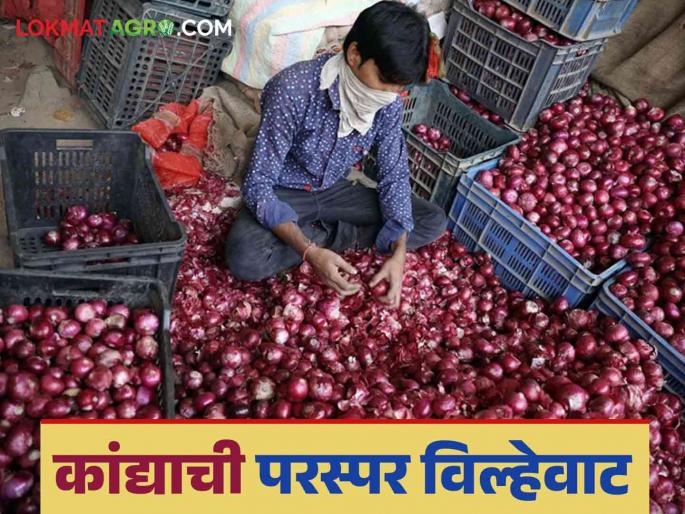 Onion Market Fraud: Onion sent to Rajasthan seized; Lakhs of fraud | Onion Market Fraud : राजस्थान येथे पाठविलेल्या कांद्याची रक्कम हडपली; लाखोंची फसवणूक Onion Market Fraud: Onion sent to Rajasthan seized; Lakhs of fraud | Onion Market Fraud : राजस्थान येथे पाठविलेल्या कांद्याची रक्कम हडपली; लाखोंची फसवणूक