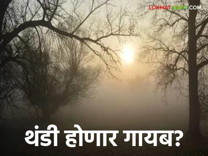 Cold weather will disappear in the state; Impact of climate change in the Bay of Bengal | राज्यातील थंडी गायब होणार; बंगालच्या उपसागरात हवामान बदलाचा परिणाम Cold weather will disappear in the state; Impact of climate change in the Bay of Bengal | राज्यातील थंडी गायब होणार; बंगालच्या उपसागरात हवामान बदलाचा परिणाम