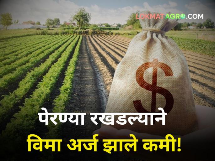 Crop Insurance:Less rain, sowing is disrupted farmers filled the crop insurance application | Crop Insurance : पाऊस कमी, पेरण्या खोळंबल्या! केवळ 'एवढ्या' शेतकऱ्यांनीच भरला पिकविमा अर्ज Crop Insurance:Less rain, sowing is disrupted farmers filled the crop insurance application | Crop Insurance : पाऊस कमी, पेरण्या खोळंबल्या! केवळ 'एवढ्या' शेतकऱ्यांनीच भरला पिकविमा अर्ज