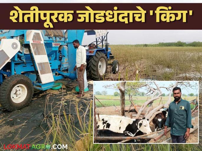 Success Story: The path to complementary farming; Bharat Patil overcomes crises | Success Story : शेतीपूरक जोडधंदाची धरली वाट; भारत पाटलांची संकटांवर मात Success Story: The path to complementary farming; Bharat Patil overcomes crises | Success Story : शेतीपूरक जोडधंदाची धरली वाट; भारत पाटलांची संकटांवर मात