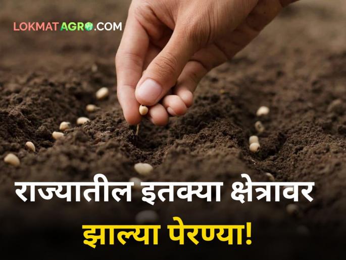 maharashtra state crop sowing report of kharip season 2024 monsoon rain decrease cultivation | Sowing : राज्यात अद्याप किती क्षेत्रावर झाल्या पेरण्या? कमी पावसामुळे शेतकऱ्यांवर संकटाची भिती maharashtra state crop sowing report of kharip season 2024 monsoon rain decrease cultivation | Sowing : राज्यात अद्याप किती क्षेत्रावर झाल्या पेरण्या? कमी पावसामुळे शेतकऱ्यांवर संकटाची भिती