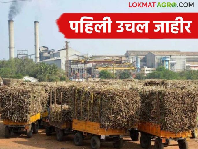Sugar Factory: 'This' factory is announced to raise Rs. 3300 as the highest, while the strategy of others is to estimate and raise | Sugar Factory : 'या' कारखाण्याची सर्वाधिक ३३०० रुपये उचल जाहीर तर अंदाज घेऊन उचल देण्याची इतरांची रणनीती Sugar Factory: 'This' factory is announced to raise Rs. 3300 as the highest, while the strategy of others is to estimate and raise | Sugar Factory : 'या' कारखाण्याची सर्वाधिक ३३०० रुपये उचल जाहीर तर अंदाज घेऊन उचल देण्याची इतरांची रणनीती