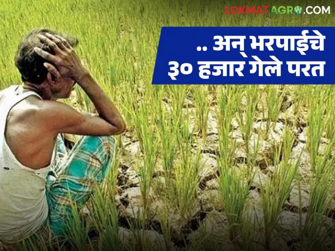 I received a message that Rs 30,000 had been deposited at night, but in the morning there was nothing in the account! The compensation money was returned. | रात्री ३० हजार रुपये जमा झाल्याचा मॅसेज अन् सकाळी मात्र खात्यात काहीच नाही! भरपाईचे पैसे गेले परत I received a message that Rs 30,000 had been deposited at night, but in the morning there was nothing in the account! The compensation money was returned. | रात्री ३० हजार रुपये जमा झाल्याचा मॅसेज अन् सकाळी मात्र खात्यात काहीच नाही! भरपाईचे पैसे गेले परत