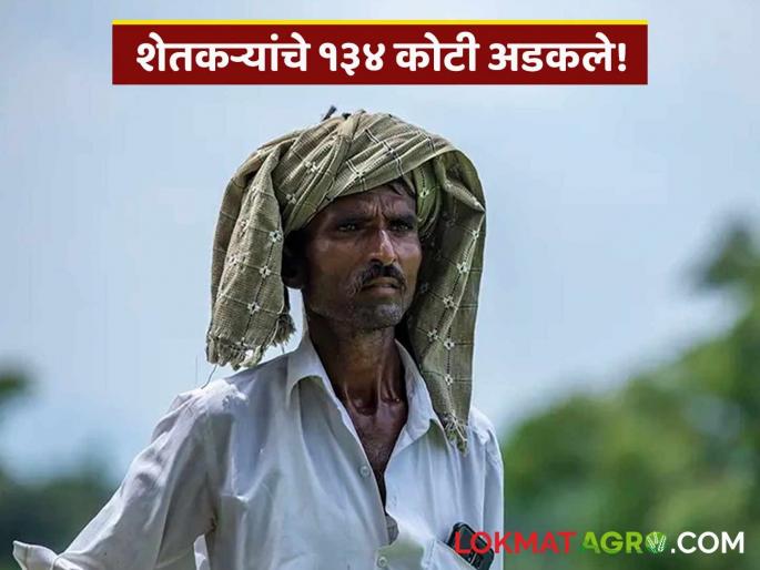 No compensation from insurance company and Sugar Samrat not paying sugarcane bills; Farmers' financial blockade | विमा कंपनीकडून भरपाई मिळेना अन् साखर सम्राट उसाची बिले देईना; शेतकऱ्यांची आर्थिक नाकेबंदी No compensation from insurance company and Sugar Samrat not paying sugarcane bills; Farmers' financial blockade | विमा कंपनीकडून भरपाई मिळेना अन् साखर सम्राट उसाची बिले देईना; शेतकऱ्यांची आर्थिक नाकेबंदी