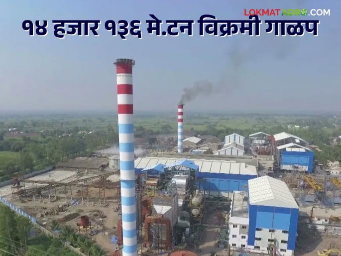 Warana Sugar: 'Warana''s highest ever crushing of 14 thousand MT sugarcane in a single day | Warana Sugar : 'वारणा'चे आतापर्यंतचे उच्चांकी एका दिवसात १४ हजार मे. टन ऊस गाळप