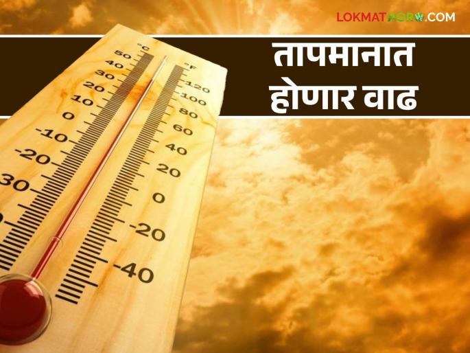 Maharashtra will warm up after the cold; Read what weather scientists are saying | थंडी संपून आता महाराष्ट्र तापणार; वाचा काय सांगताहेत हवामान शास्त्रज्ञ Maharashtra will warm up after the cold; Read what weather scientists are saying | थंडी संपून आता महाराष्ट्र तापणार; वाचा काय सांगताहेत हवामान शास्त्रज्ञ