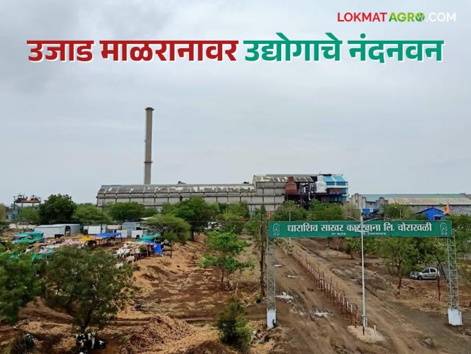 Three sugar and four jaggery powder factories in one taluka of Marathwada; 20 thousand metric ton per day record filtration | मराठवाड्याच्या 'या' एकाच तालुक्यात तीन साखर व चार गूळ पावडर कारखाने; दररोज २० हजार मेट्रिक टन विक्रमी गाळप Three sugar and four jaggery powder factories in one taluka of Marathwada; 20 thousand metric ton per day record filtration | मराठवाड्याच्या 'या' एकाच तालुक्यात तीन साखर व चार गूळ पावडर कारखाने; दररोज २० हजार मेट्रिक टन विक्रमी गाळप