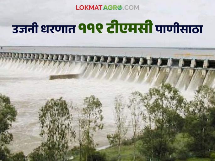 Discharge at Daund continues for the last three months; 119 TMC water storage in Ujani dam | गेल्या तीन महिन्यांपासून दौंड येथील विसर्ग सुरूच; उजनी धरणात ११९ टीएमसी पाणीसाठा