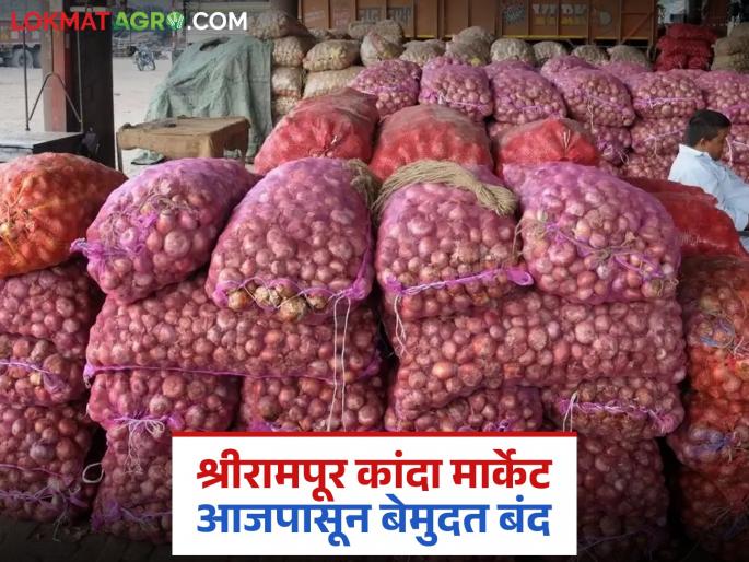 The issue of farmers' agitation against the attackers is on the agenda; Shrirampur onion market also closed from today | शेतकऱ्यांच्या अडवणुकीसाठी हमालांच्या वाराईचा मुद्दा ऐरणीवर; श्रीरामपूर कांदा मार्केट देखील आजपासून बंद