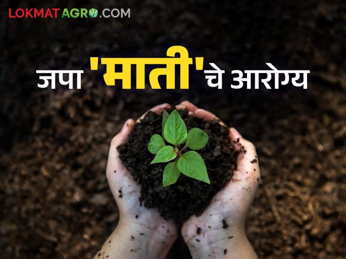 Save Soil Health: Let's maintain soil nutrients; Guaranteed, prosperous crops with safe food grains | Save Soil Health : करूया राखण पोषक घटकांच्या मातीची; हमी मिळेल, सुरक्षित अन्न धान्यांसह भरभराटीच्या पिकांची Save Soil Health: Let's maintain soil nutrients; Guaranteed, prosperous crops with safe food grains | Save Soil Health : करूया राखण पोषक घटकांच्या मातीची; हमी मिळेल, सुरक्षित अन्न धान्यांसह भरभराटीच्या पिकांची