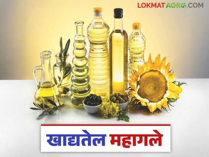 Turmeric, edible oil become expensive; Read detailed news of all the developments in the market | तूर, खाद्यतेल महागले; वाचा बाजारपेठेतील सर्व घडामोडींचे सविस्तर वृत्त Turmeric, edible oil become expensive; Read detailed news of all the developments in the market | तूर, खाद्यतेल महागले; वाचा बाजारपेठेतील सर्व घडामोडींचे सविस्तर वृत्त