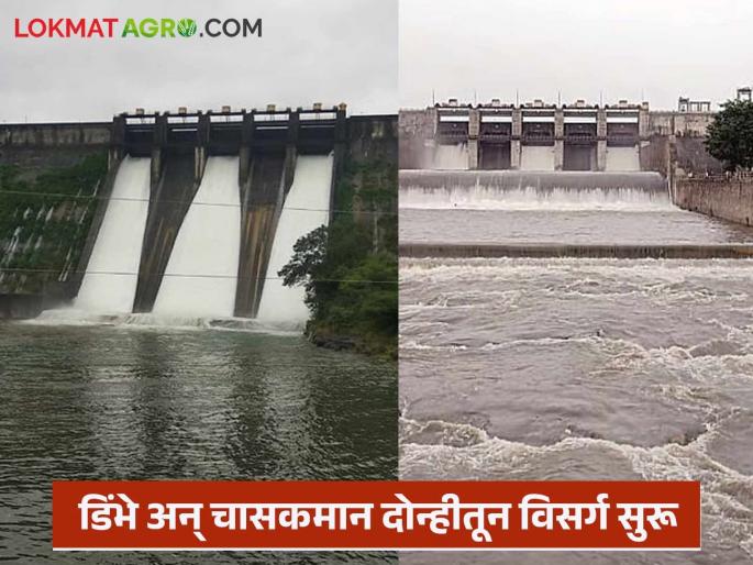 Two thousand cusecs of water released from Dimbhe Dam; Five gates of Chaskaman Dam also opened | डिंभे धरणातून दोन हजार क्युसेक विसर्ग सुरू; चासकमान धरणाचे देखील पाच दरवाजे उघडले Two thousand cusecs of water released from Dimbhe Dam; Five gates of Chaskaman Dam also opened | डिंभे धरणातून दोन हजार क्युसेक विसर्ग सुरू; चासकमान धरणाचे देखील पाच दरवाजे उघडले