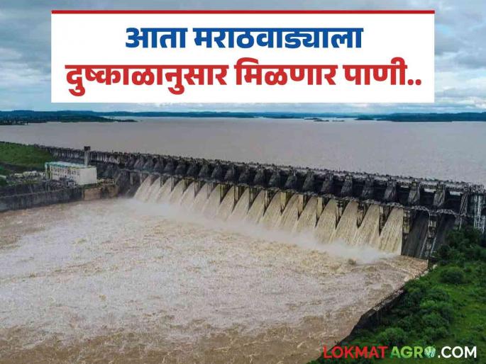Water will be released for Jayakwadi after estimating drought; Read 'this' decision which is important for Marathwada | जायकवाडीसाठी दुष्काळाचा अंदाज घेऊन पाणी सोडणार; वाचा मराठवाड्यासाठी महत्वाचा असलेला 'हा' निर्णय Water will be released for Jayakwadi after estimating drought; Read 'this' decision which is important for Marathwada | जायकवाडीसाठी दुष्काळाचा अंदाज घेऊन पाणी सोडणार; वाचा मराठवाड्यासाठी महत्वाचा असलेला 'हा' निर्णय