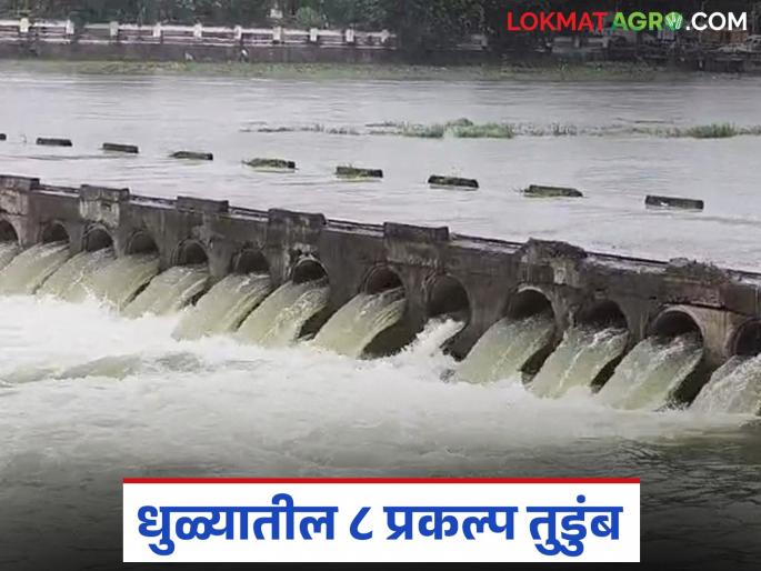 8 out of 12 projects in Dhule have collapsed; Water discharge continues into the Panjra river basin | धुळ्यातील १२ पैकी ८ प्रकल्प झालेत तुडुंब; पांझरा नदीपात्रात पाण्याचा विसर्ग सुरूच 8 out of 12 projects in Dhule have collapsed; Water discharge continues into the Panjra river basin | धुळ्यातील १२ पैकी ८ प्रकल्प झालेत तुडुंब; पांझरा नदीपात्रात पाण्याचा विसर्ग सुरूच