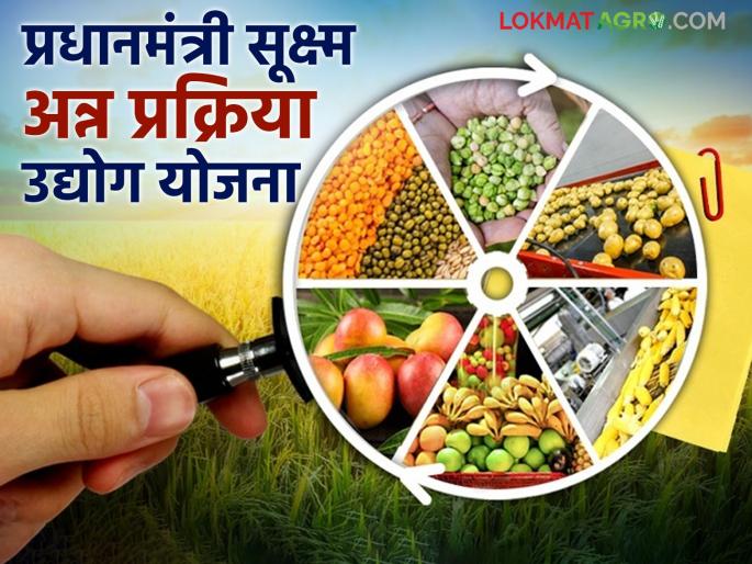 Where to apply for the Prime Minister's Micro Food Processing Industry Scheme? Read all the information | प्रधानमंत्री सूक्ष्म अन्न प्रक्रिया उद्योग योजनेसाठी कुठे कराल अर्ज ? वाचा सर्व माहिती Where to apply for the Prime Minister's Micro Food Processing Industry Scheme? Read all the information | प्रधानमंत्री सूक्ष्म अन्न प्रक्रिया उद्योग योजनेसाठी कुठे कराल अर्ज ? वाचा सर्व माहिती