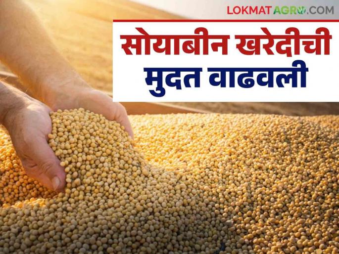 Market Update: Edible oil and gold and silver prices have become expensive, there is a slowdown in the price of tur; Read what is the situation in the market | Market Update : खाद्यतेल अन् सोने-चांदी महागले, तुरीच्या दरात मंदी; वाचा बाजारात काय आहे स्थिती Market Update: Edible oil and gold and silver prices have become expensive, there is a slowdown in the price of tur; Read what is the situation in the market | Market Update : खाद्यतेल अन् सोने-चांदी महागले, तुरीच्या दरात मंदी; वाचा बाजारात काय आहे स्थिती