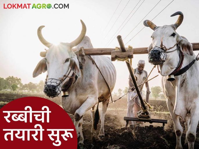 Rabi Crop Management: Will the loss of Kharif season be compensated in 'Rabi'? | Rabi Crop Management : खरीप हंगामातील तोटा 'रब्बी'त भरून निघेल काय? Rabi Crop Management: Will the loss of Kharif season be compensated in 'Rabi'? | Rabi Crop Management : खरीप हंगामातील तोटा 'रब्बी'त भरून निघेल काय?