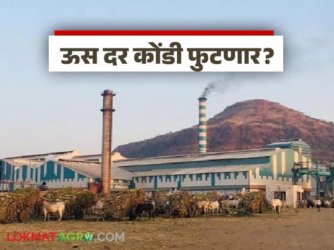 Will the sugarcane price crisis in Satara district break out? District Collector will hold a meeting of industrialists and farmers' organizations | सातारा जिल्ह्यातील ऊस दर कोंडी फुटणार? जिल्हाधिकारी घेणार कारखानदार आणि शेतकरी संघटनांची बैठक Will the sugarcane price crisis in Satara district break out? District Collector will hold a meeting of industrialists and farmers' organizations | सातारा जिल्ह्यातील ऊस दर कोंडी फुटणार? जिल्हाधिकारी घेणार कारखानदार आणि शेतकरी संघटनांची बैठक